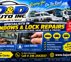 Window & Lock Specialist